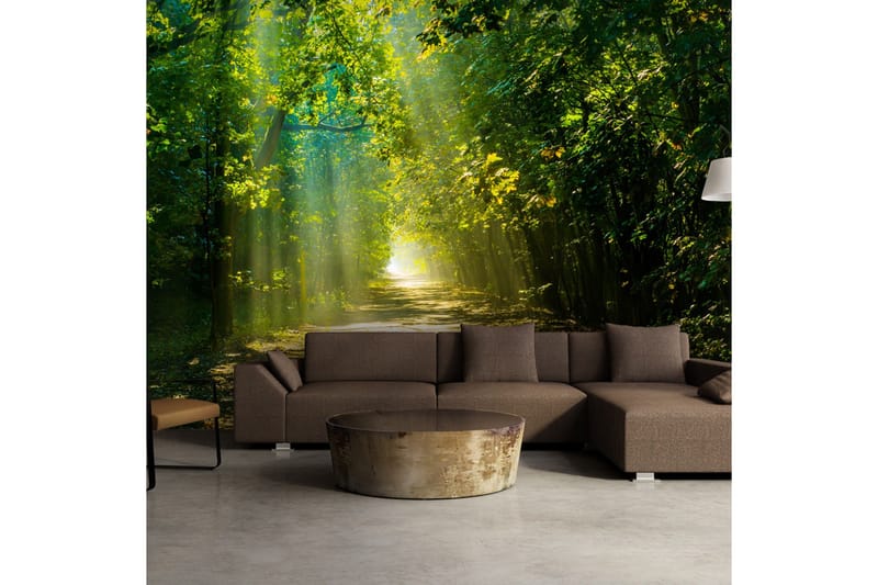 Fototapet Road In Sunlight 200x140 - Artgeist sp. z o. o. - Inredning & dekor - Väggdekor - Tapeter & tapettillbehör - Fototapeter