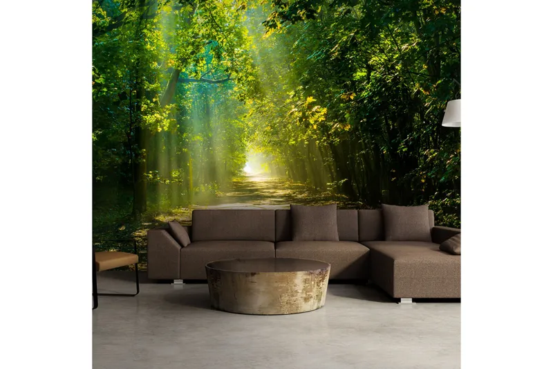 Fototapet Road In Sunlight 250x175 - Artgeist sp. z o. o. - Inredning & dekor - Väggdekor - Tapeter & tapettillbehör - Fototapeter