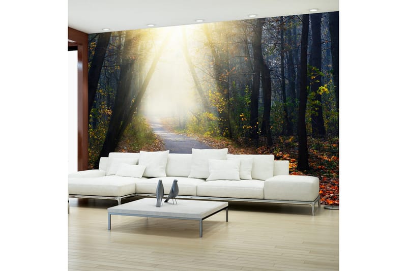 Fototapet Road Through The Forest 150x105, Artgeist sp. z o. o.