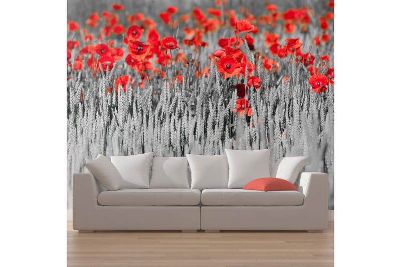 Fototapet Röd Vallmo På Svart Och Vit Bakgrund 450x270, Artgeist sp. z o. o.