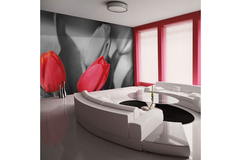 Fototapet Röda Tulpaner På Svart Och Vit Bakgrund 200x154, Artgeist sp. z o. o.