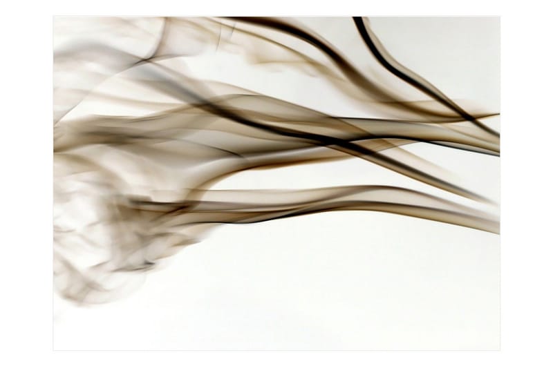 Fototapet Rök Abstrakt 300x231, Artgeist sp. z o. o.
