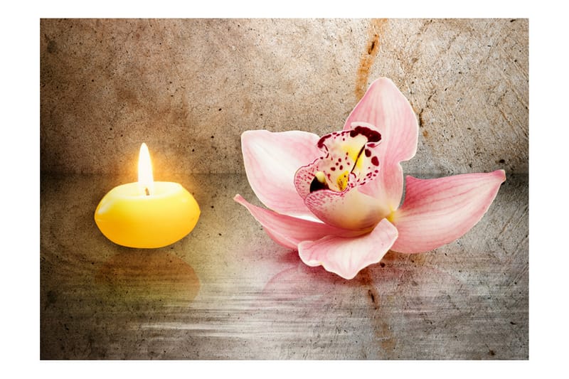 FOTOTAPET Romantic Evening 400x280 - Artgeist sp. z o. o. - Inredning & dekor - Väggdekor - Tapeter & tapettillbehör - Fototapeter