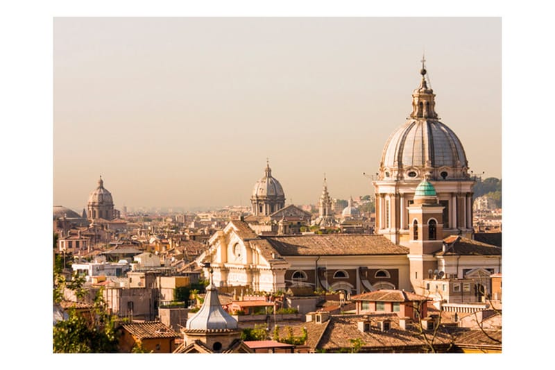 Fototapet Rome Bird's Eye View 350x270, Artgeist sp. z o. o.