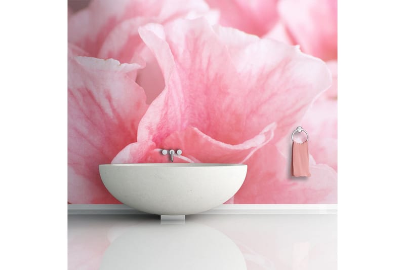 Fototapet Rosa Azalea Blommor 300x231 - Artgeist sp. z o. o. - Inredning & dekor - Väggdekor - Tapeter & tapettillbehör - Fototapeter