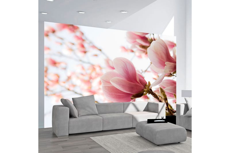Fototapet Rosa Magnolia 200x154, Artgeist sp. z o. o.