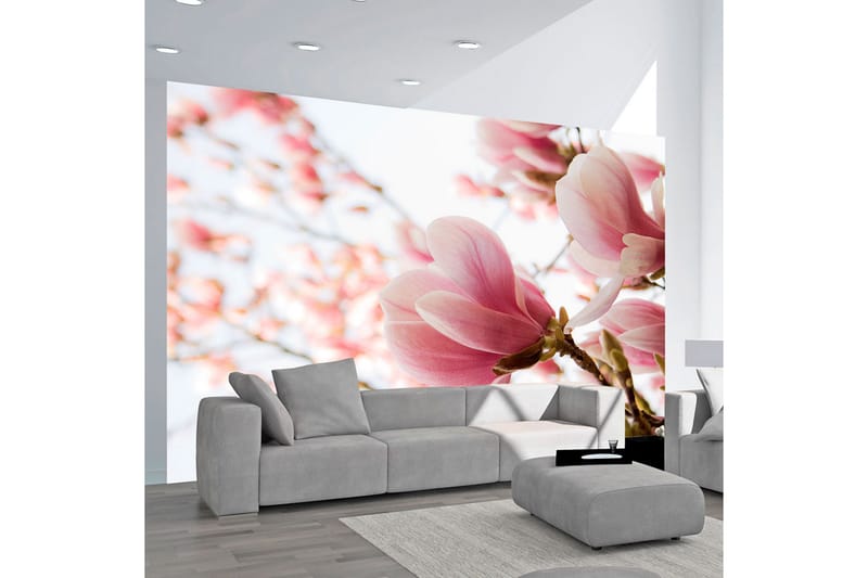 FOTOTAPET Rosa Magnolia 300x231 - Artgeist sp. z o. o. - Inredning & dekor - Väggdekor - Tapeter & tapettillbehör - Fototapeter