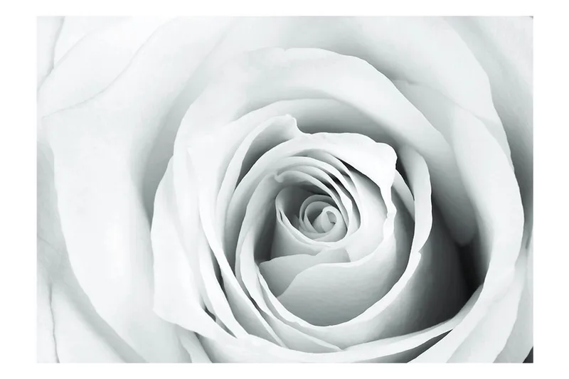 FOTOTAPET Rose Charade 200x140 - Artgeist sp. z o. o. - Inredning & dekor - Väggdekor - Tapeter & tapettillbehör - Fototapeter