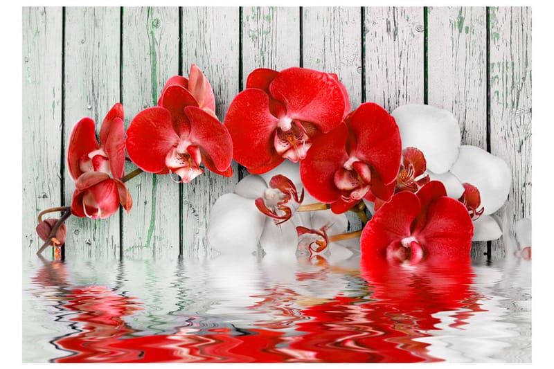 FOTOTAPET Ruby Orchid 200x140 - Artgeist sp. z o. o. - Inredning & dekor - Väggdekor - Tapeter & tapettillbehör - Fototapeter