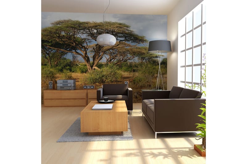 Fototapet Samburu National Reserve Kenya 250x193 - Artgeist sp. z o. o. - Inredning & dekor - Väggdekor - Tapeter & tapettillbehör - Fototapeter