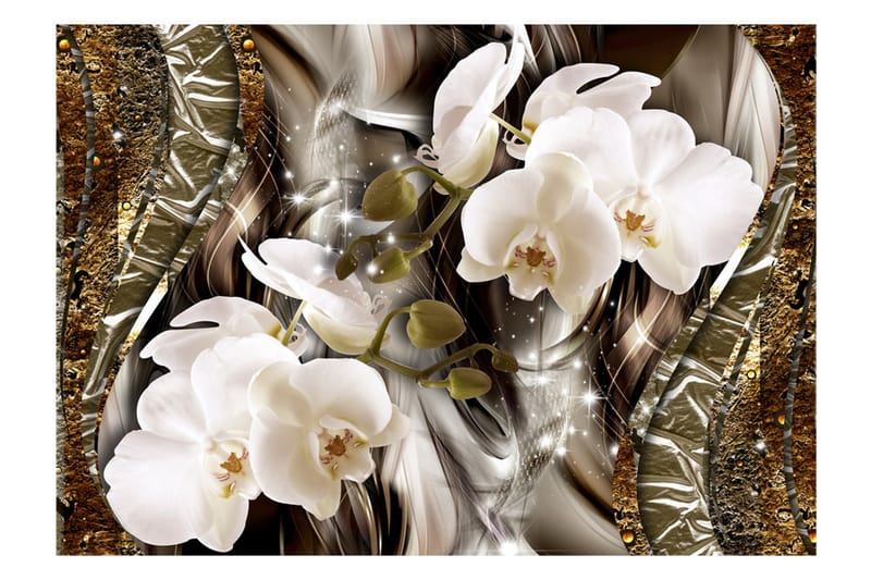 FOTOTAPET Seekers Of Beauty 400x280 - Artgeist sp. z o. o. - Inredning & dekor - Väggdekor - Tapeter & tapettillbehör - Fototapeter