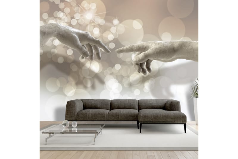 FOTOTAPET Sensitive Touch 250x175 - Artgeist sp. z o. o. - Inredning & dekor - Väggdekor - Tapeter & tapettillbehör - Fototapeter