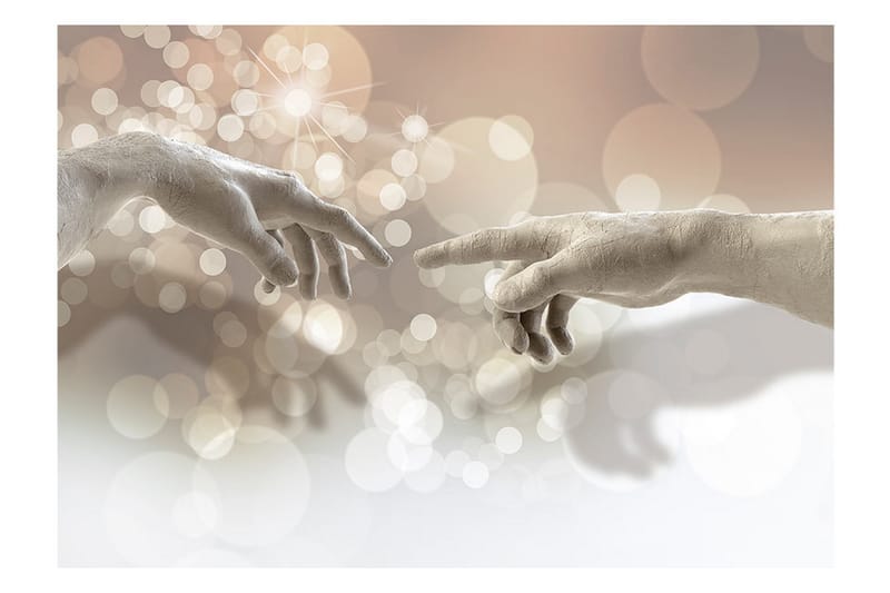 FOTOTAPET Sensitive Touch 400x280 - Artgeist sp. z o. o. - Inredning & dekor - Väggdekor - Tapeter & tapettillbehör - Fototapeter