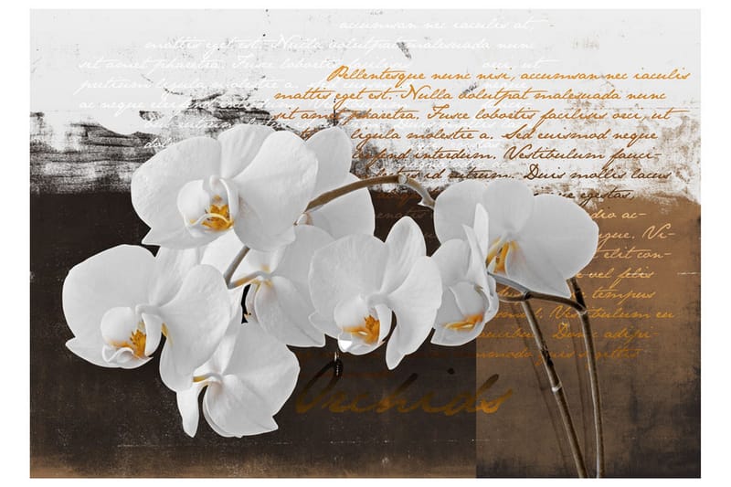 FOTOTAPET Sentimental Thoughts 250x175 - Artgeist sp. z o. o. - Inredning & dekor - Väggdekor - Tapeter & tapettillbehör - Fototapeter