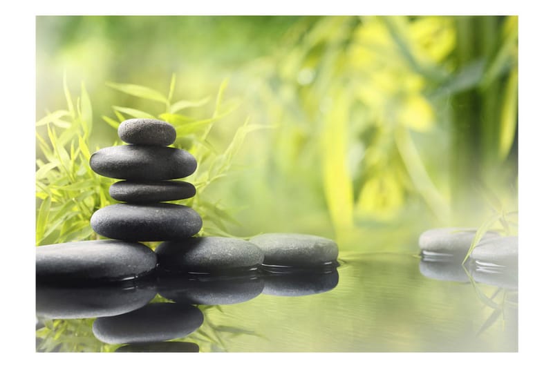 Fototapet Serenity Of Nature 300x210 - Artgeist sp. z o. o. - Inredning & dekor - Väggdekor - Tapeter & tapettillbehör - Fototapeter