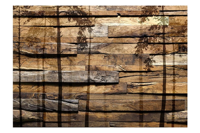 FOTOTAPET Shadow Of Trees 400x280 - Artgeist sp. z o. o. - Inredning & dekor - Väggdekor - Tapeter & tapettillbehör - Fototapeter