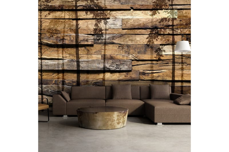 Fototapet Shadow Of Trees 400x280, Artgeist sp. z o. o.