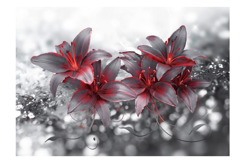 FOTOTAPET Shadow Of Passion 300x210 - Artgeist sp. z o. o. - Inredning & dekor - Väggdekor - Tapeter & tapettillbehör - Fototapeter