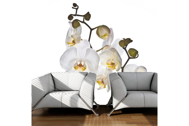 Fototapet Shyness 350x270, Artgeist sp. z o. o.