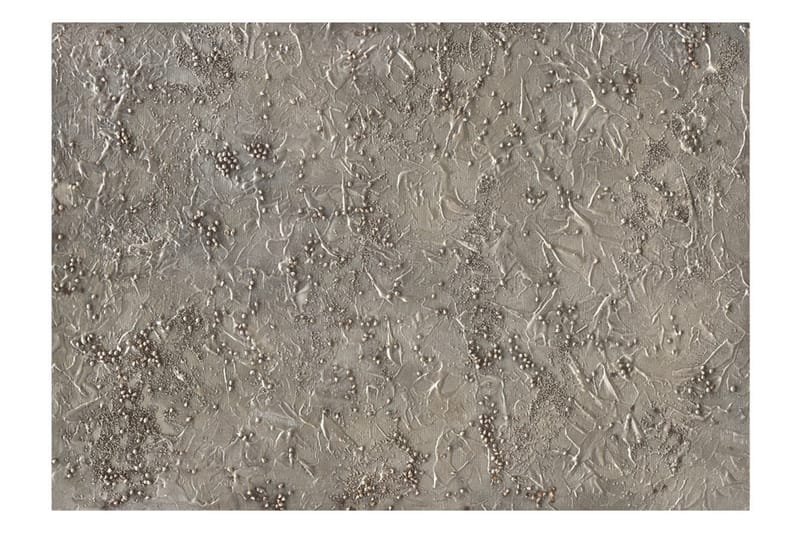 Fototapet Silver Serenade 300x210 - Artgeist sp. z o. o. - Inredning & dekor - Väggdekor - Tapeter & tapettillbehör - Fototapeter