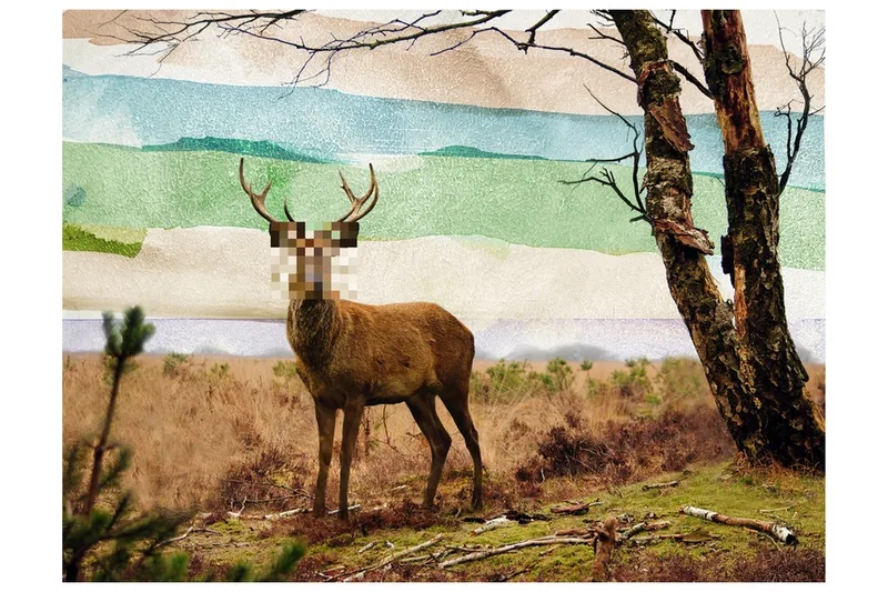 Fototapet Skog Flykting 250x193 - Artgeist sp. z o. o. - Inredning & dekor - Väggdekor - Tapeter & tapettillbehör - Fototapeter