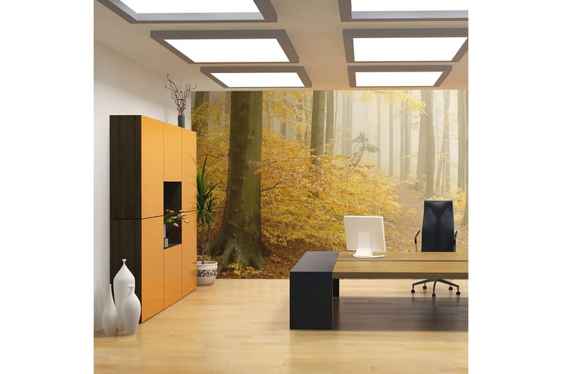 Fototapet Skog Höst 350x270 - Artgeist sp. z o. o. - Inredning & dekor - Väggdekor - Tapeter & tapettillbehör - Fototapeter