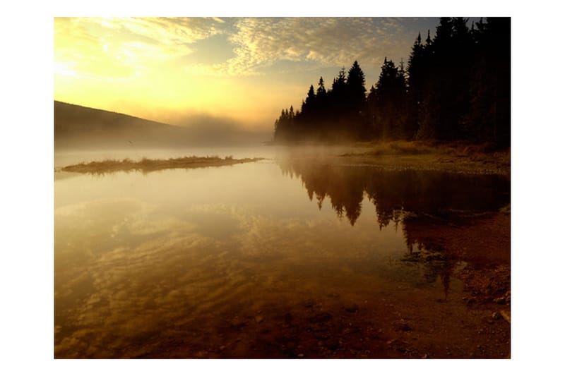 Fototapet Skog Och Sjö 200x154 - Artgeist sp. z o. o. - Inredning & dekor - Väggdekor - Tapeter & tapettillbehör - Fototapeter