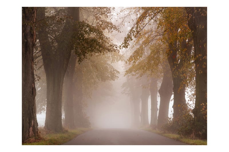 FOTOTAPET Slutpunkt 350x270, Artgeist sp. z o. o.