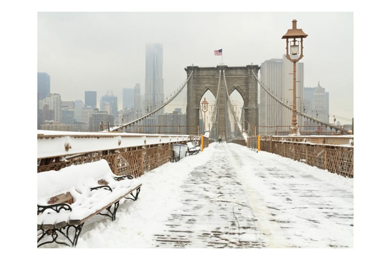 Fototapet Snötäckt Bro New York 250x193 - Artgeist sp. z o. o. - Inredning & dekor - Väggdekor - Tapeter & tapettillbehör - Fototapeter