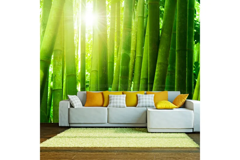 Fototapet Sol Och Bambu 400x309, Artgeist sp. z o. o.