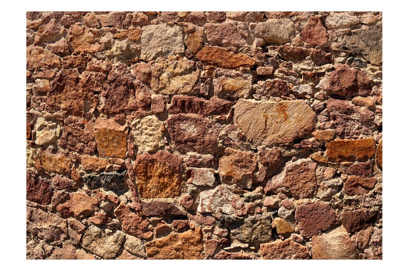 FOTOTAPET Solar Armor 100x70 - Artgeist sp. z o. o. - Inredning & dekor - Väggdekor - Tapeter & tapettillbehör - Fototapeter