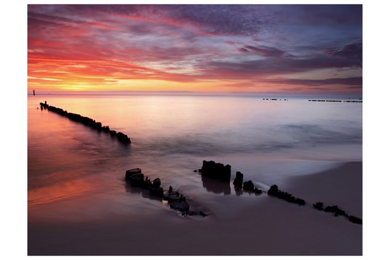 FOTOTAPET Soluppgång Över Östersjön 350x270, Artgeist sp. z o. o.