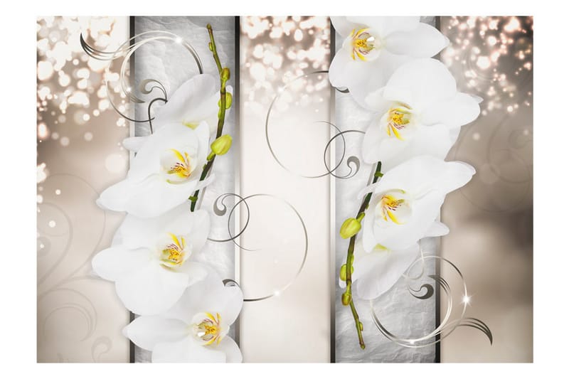 FOTOTAPET Sophisticated Duet 150x105 - Artgeist sp. z o. o. - Inredning & dekor - Väggdekor - Tapeter & tapettillbehör - Fototapeter