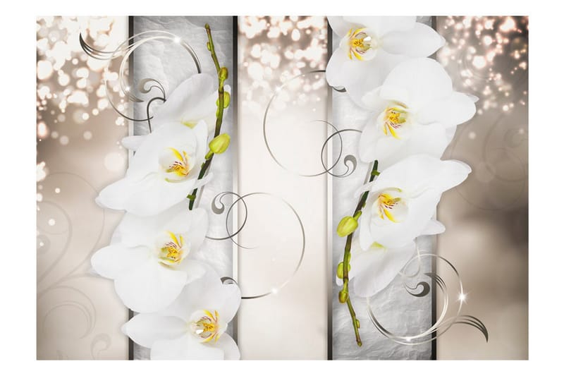 FOTOTAPET Sophisticated Duet 150x105 - Artgeist sp. z o. o. - Inredning & dekor - Väggdekor - Tapeter & tapettillbehör - Fototapeter