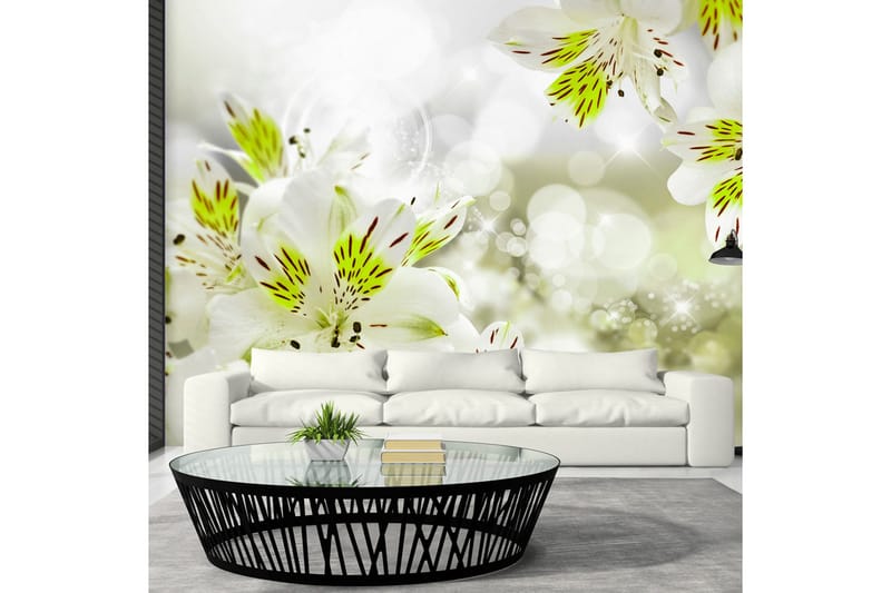 Fototapet Southern Princess 100x70, Artgeist sp. z o. o.