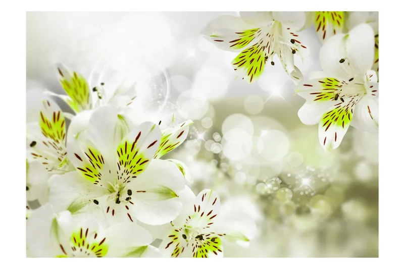 FOTOTAPET Southern Princess 250x175 - Artgeist sp. z o. o. - Inredning & dekor - Väggdekor - Tapeter & tapettillbehör - Fototapeter