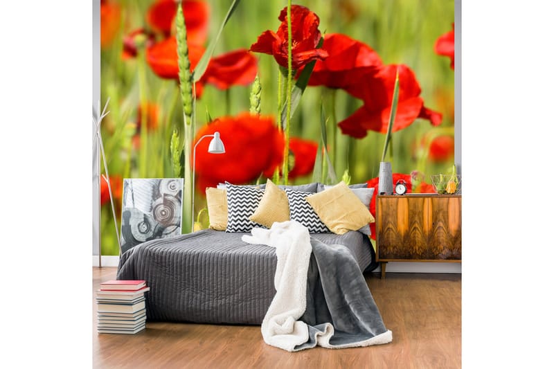 FOTOTAPET Spannmål Fält Med Vallmo 250x193, Artgeist sp. z o. o.