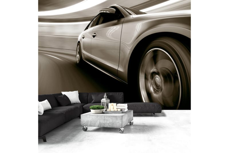 FOTOTAPET Speed And Elegance 250x175 - Artgeist sp. z o. o. - Inredning & dekor - Väggdekor - Tapeter & tapettillbehör - Fototapeter