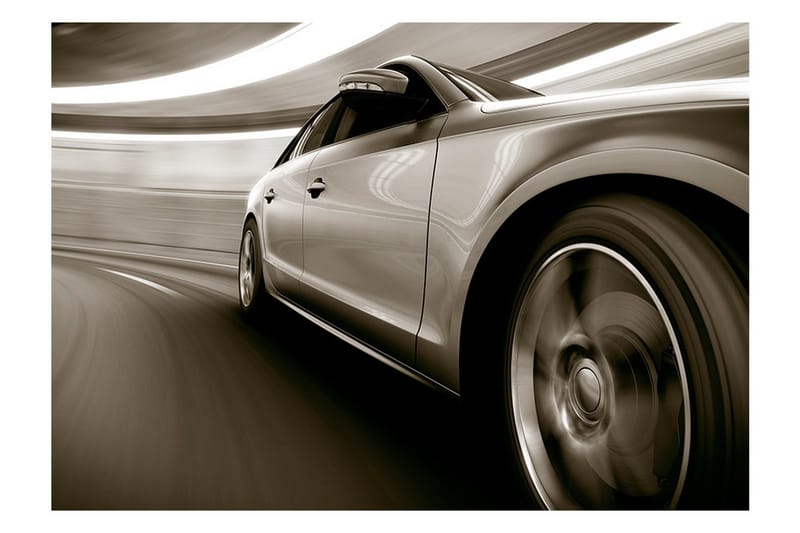 Fototapet Speed And Elegance 300x210 - Artgeist sp. z o. o. - Inredning & dekor - Väggdekor - Tapeter & tapettillbehör - Fototapeter