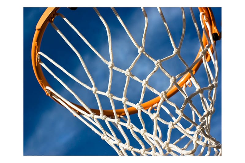 FOTOTAPET Sport Basketball 250x193 - Artgeist sp. z o. o. - Inredning & dekor - Väggdekor - Tapeter & tapettillbehör - Fototapeter