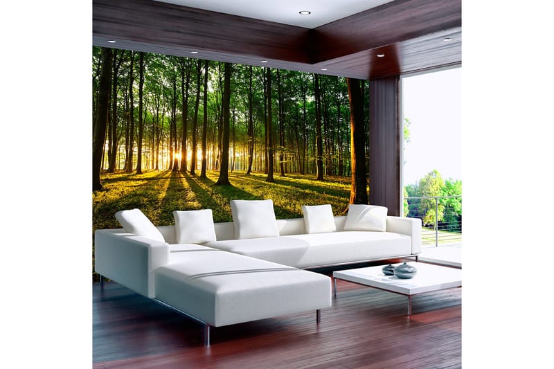 Fototapet Spring Morning In The Forest 250x175 - Artgeist sp. z o. o. - Inredning & dekor - Väggdekor - Tapeter & tapettillbehör - Fototapeter