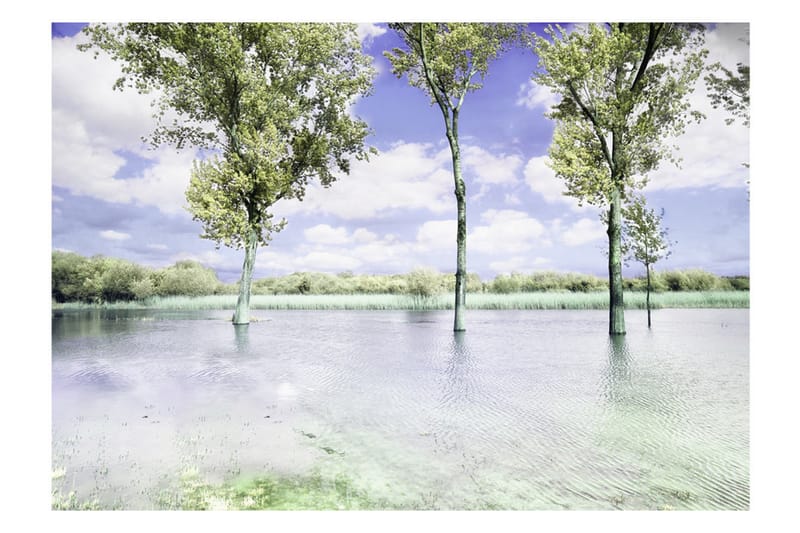 FOTOTAPET Spring Scenery 250x175 - Artgeist sp. z o. o. - Inredning & dekor - Väggdekor - Tapeter & tapettillbehör - Fototapeter