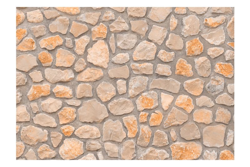 FOTOTAPET Stone Age 400x280 - Artgeist sp. z o. o. - Inredning & dekor - Väggdekor - Tapeter & tapettillbehör - Fototapeter