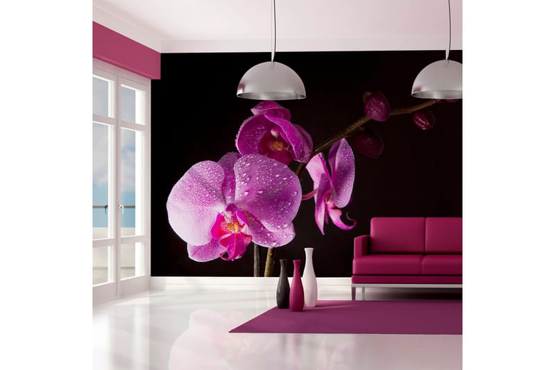 FOTOTAPET Stylish Orchids 300x231 - Artgeist sp. z o. o. - Inredning & dekor - Väggdekor - Tapeter & tapettillbehör - Fototapeter