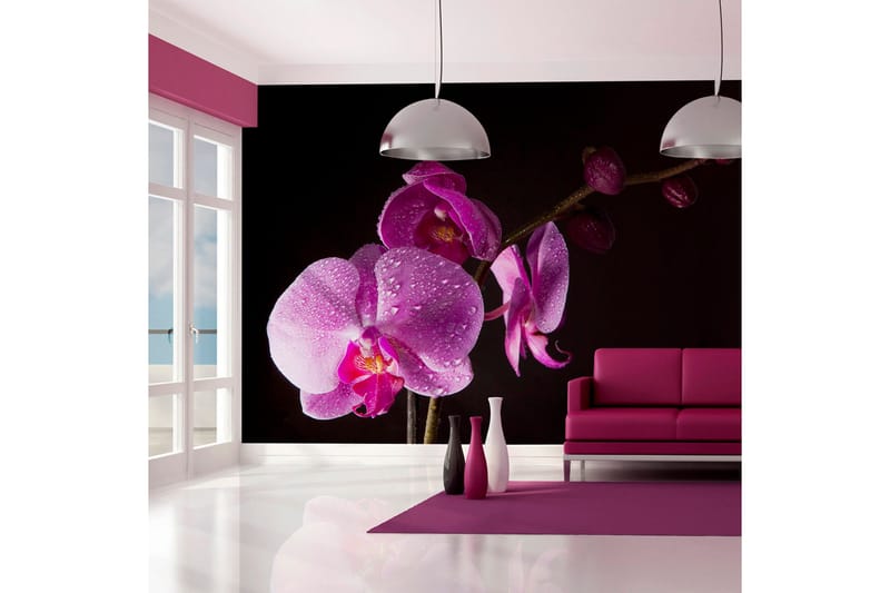 Fototapet Stylish Orchids 350x270, Artgeist sp. z o. o.