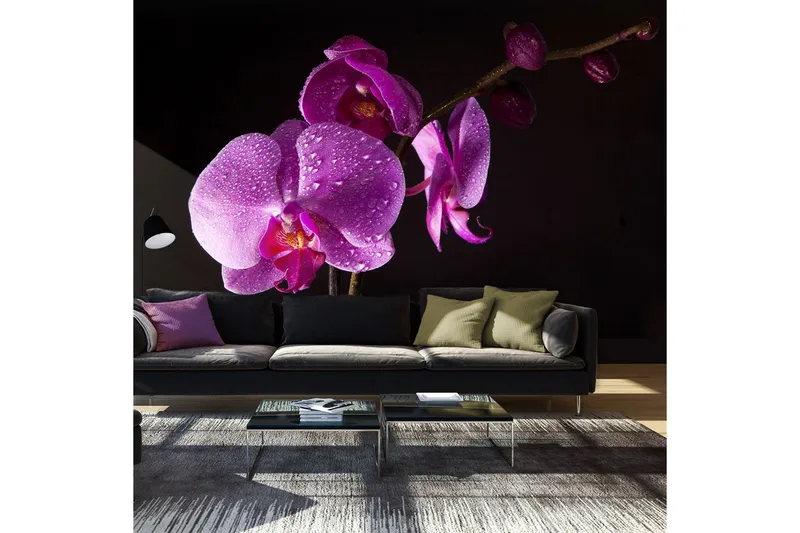 Fototapet Stylish Orchis 450x270, Artgeist sp. z o. o.