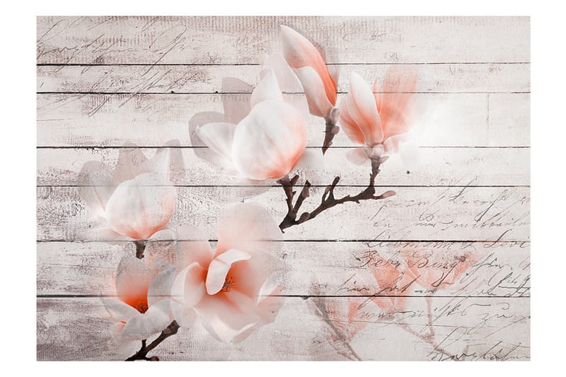 Fototapet Subtlety Of The Magnolia 150x105 - Artgeist sp. z o. o. - Inredning & dekor - Väggdekor - Tapeter & tapettillbehör - Fototapeter