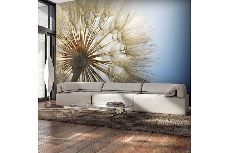 FOTOTAPET Summer Delight 250x175, Artgeist sp. z o. o.