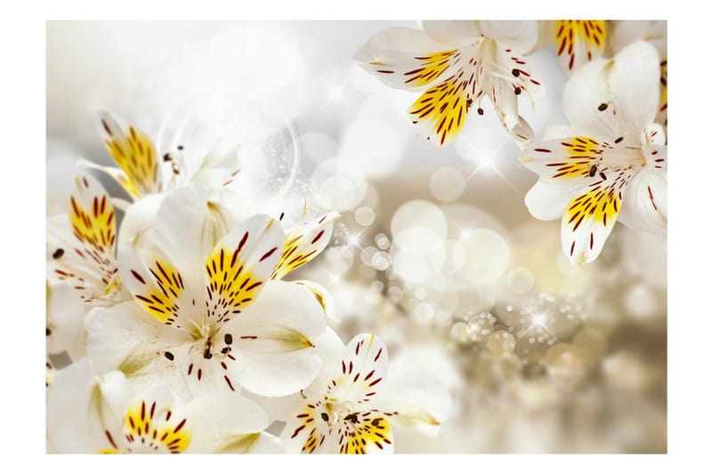 Fototapet Sunny Alstroemeria 250x175 - Artgeist sp. z o. o. - Inredning & dekor - Väggdekor - Tapeter & tapettillbehör - Fototapeter