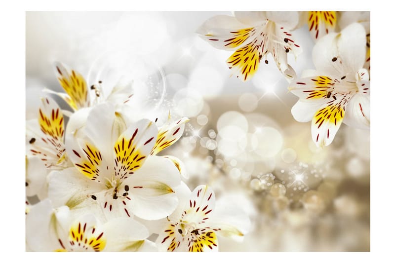 FOTOTAPET Sunny Alstroemeria 300x210 - Artgeist sp. z o. o. - Inredning & dekor - Väggdekor - Tapeter & tapettillbehör - Fototapeter
